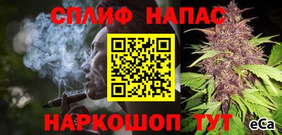 индика Пенза