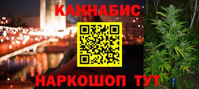 индика Пенза